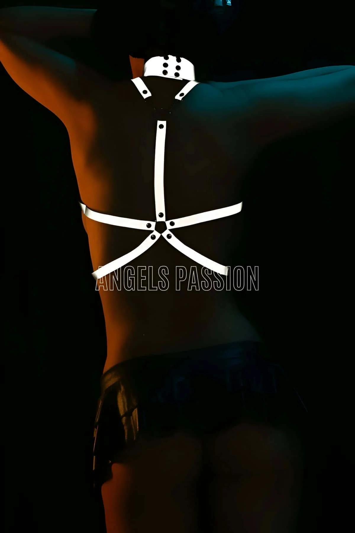 White reflective harness chest detail showing silver-tone O-rings and 2 cm wide strap cross pattern