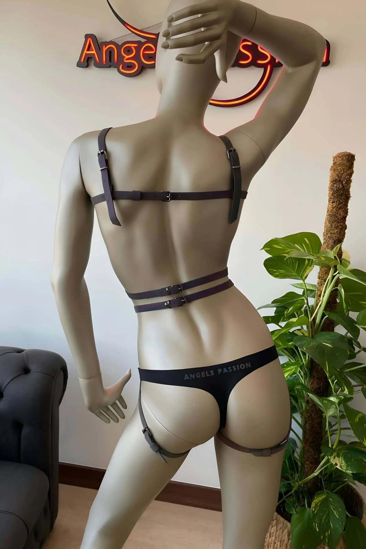 Front view of rainbow reflective cage harness showing symmetrical chest and waist strap layout