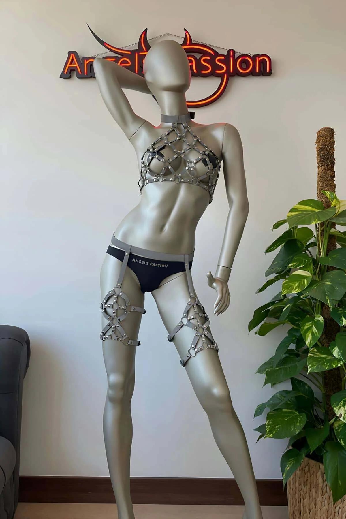 Reflective Caged Halter Harness with Leg Garters Set