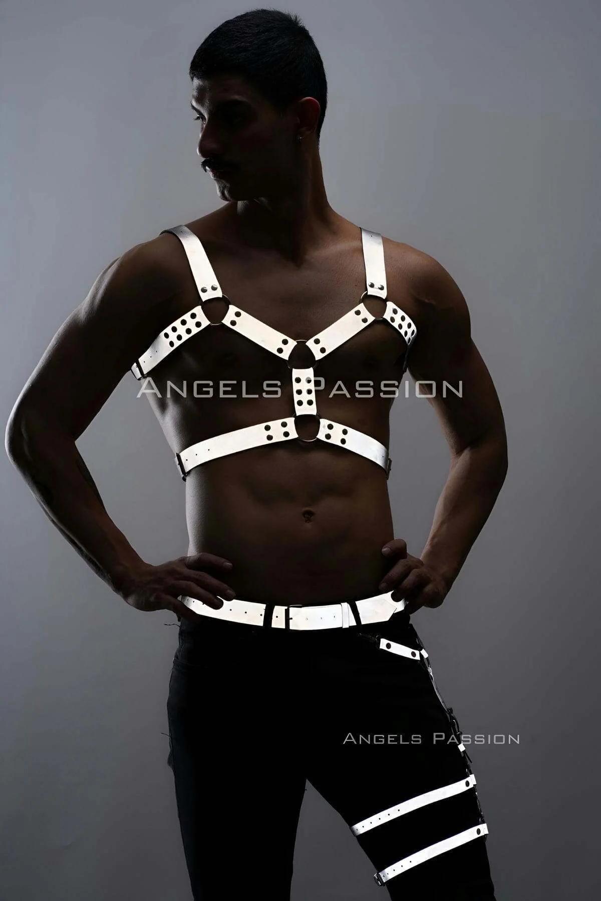 Reflective Chest & Leg Harness Set