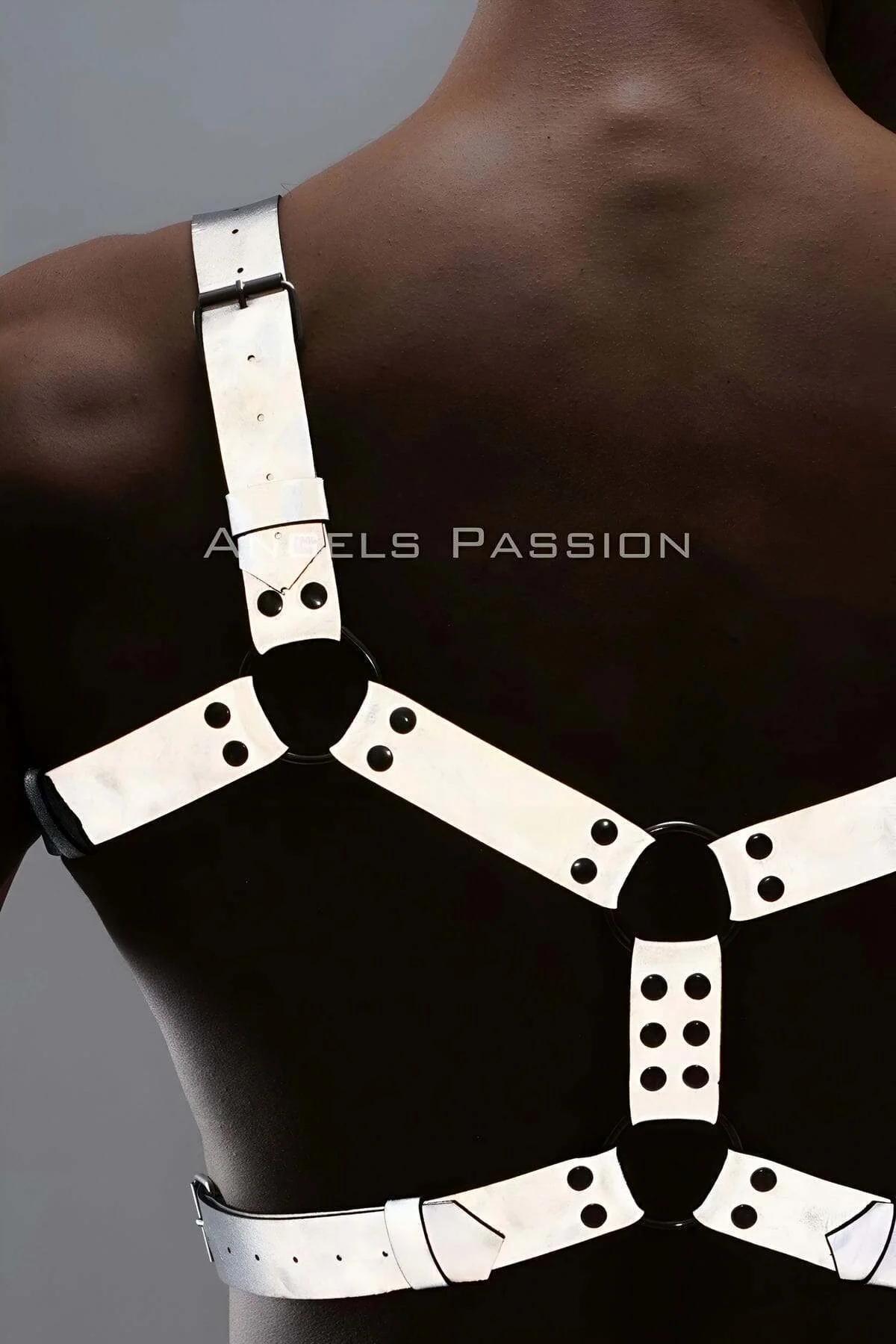 Reflective Chest & Leg Harness Set