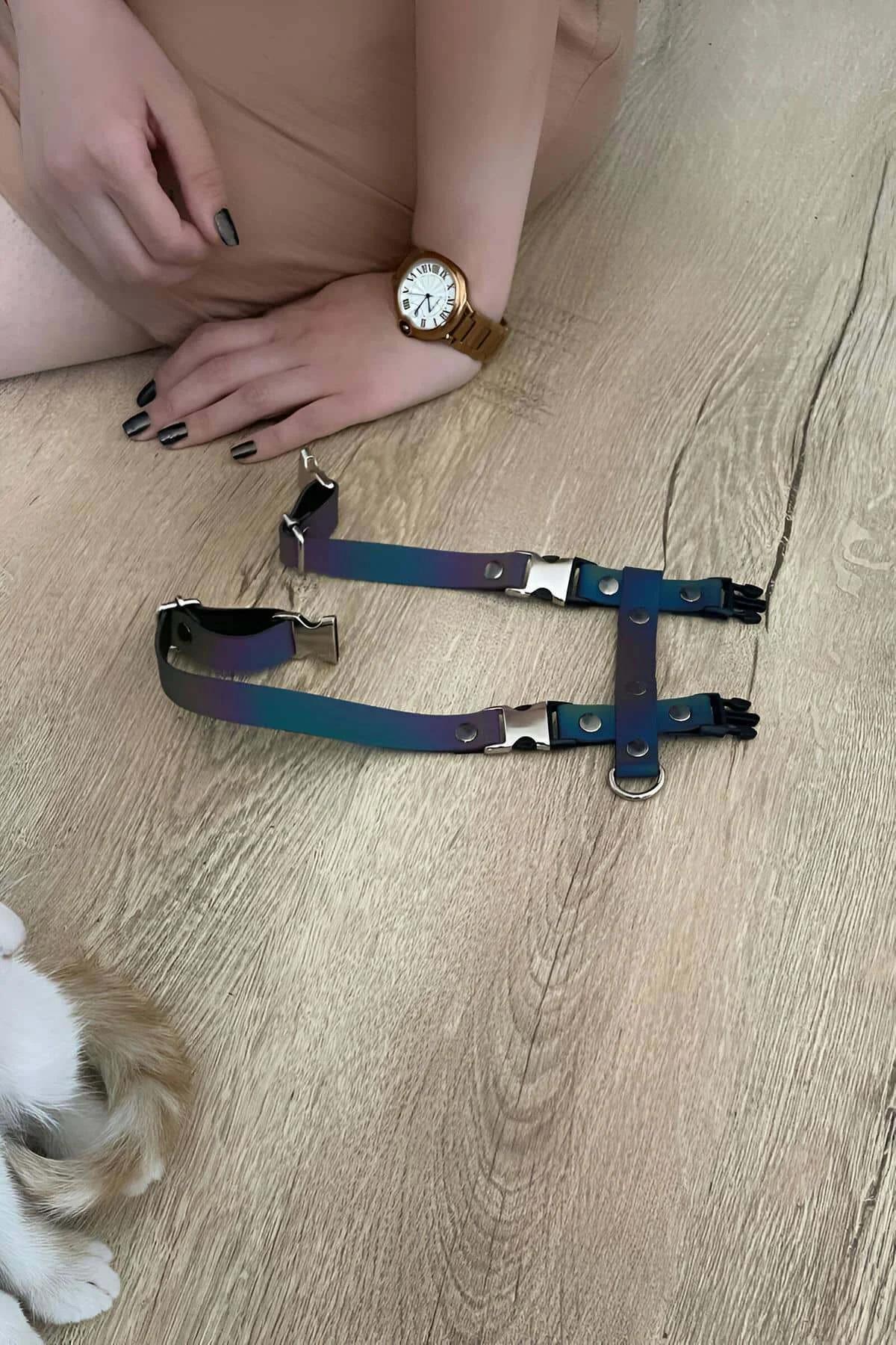 Rainbow body harness laid flat showing full strap configuration and D-ring attachment points