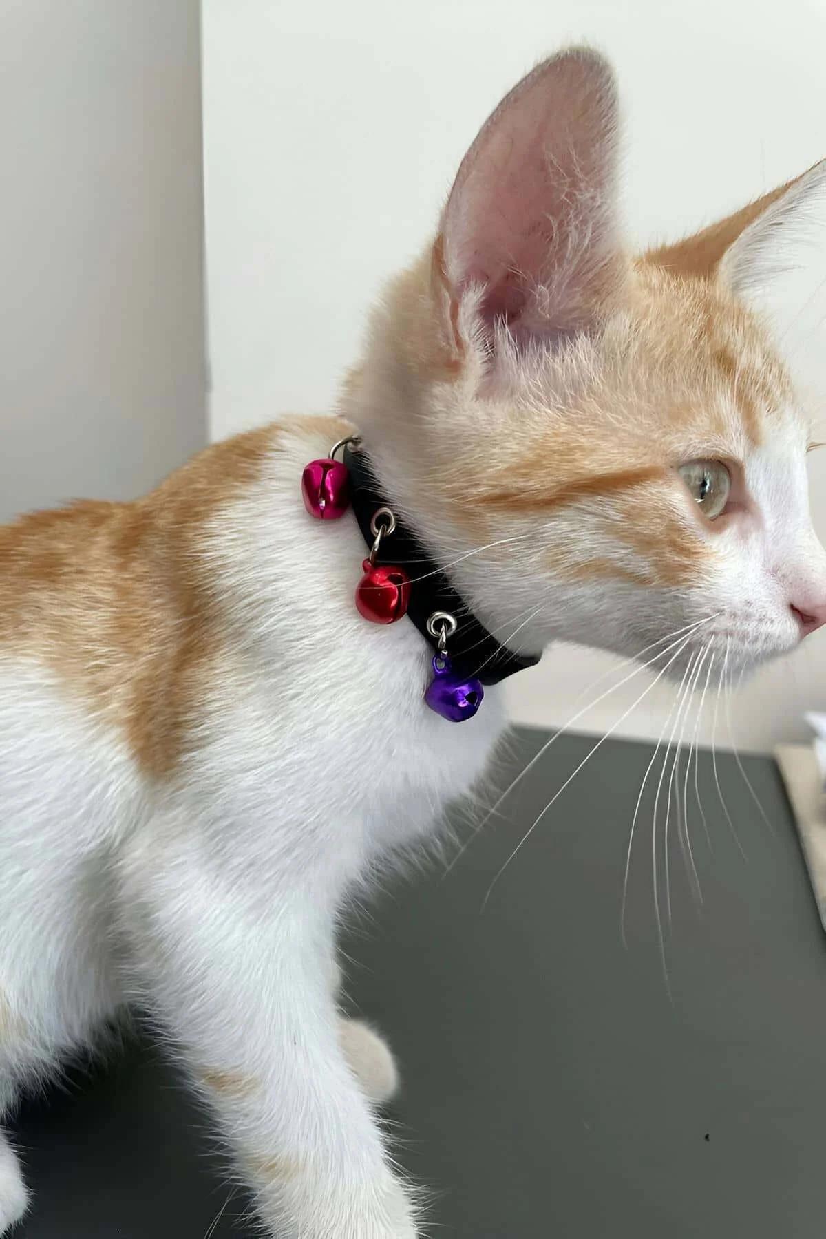 Close-up of three metallic jingle bells in pink red and purple hanging from black PU choker band