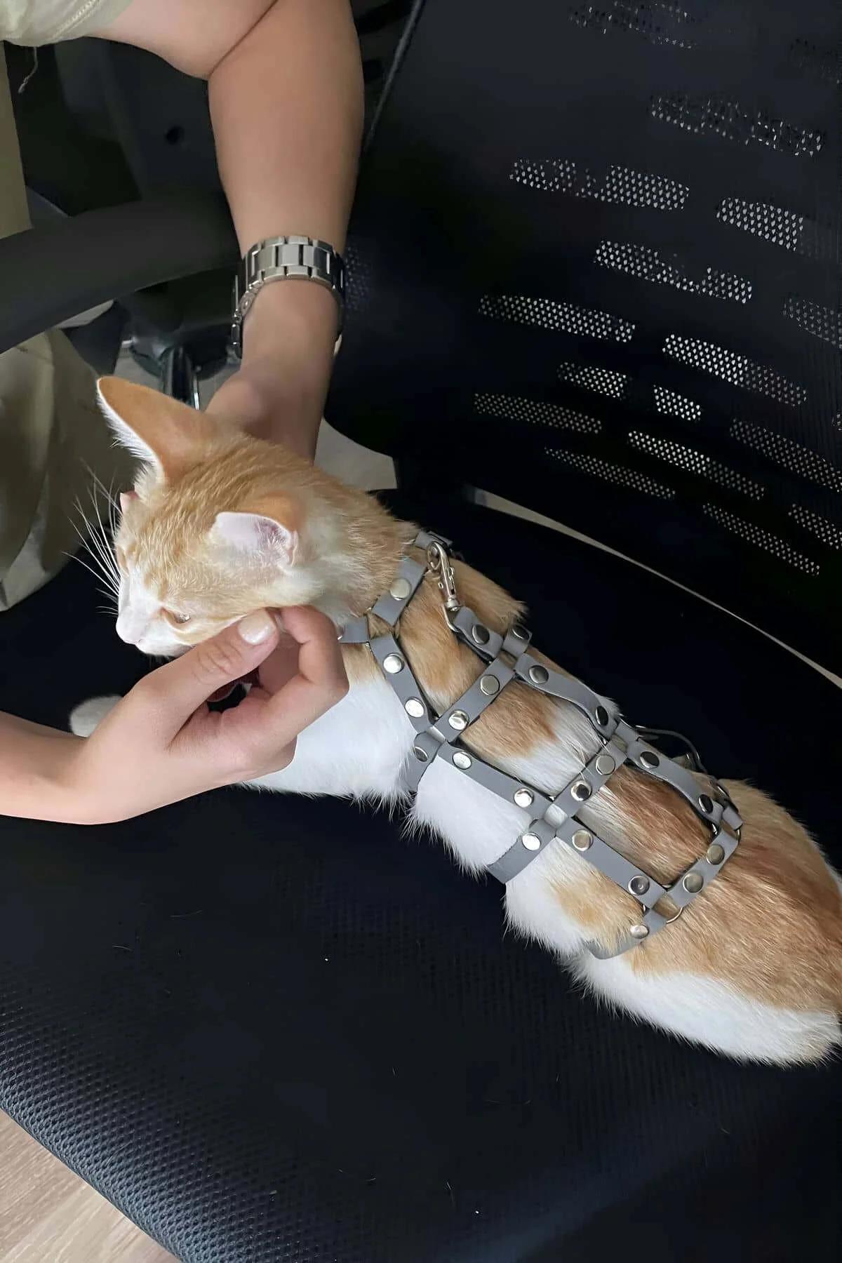 Reflective Studded Harness with Leash for Pet Cats