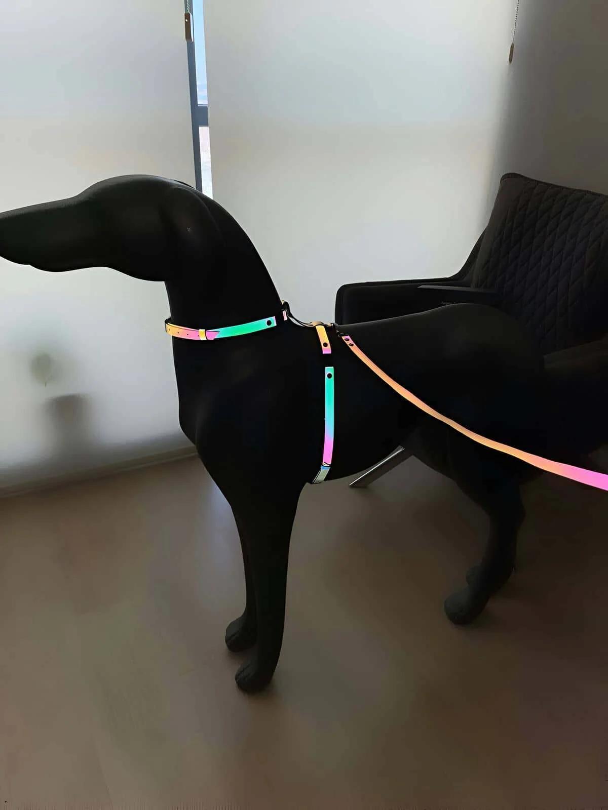 Stylish Colorful Glow in the Dark Dog Collar, Special Design Reflective Dog Collar - NPD002