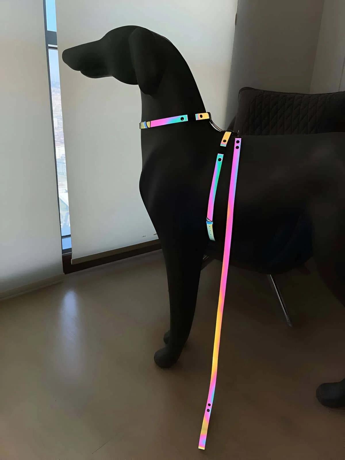 Stylish Colorful Glow in the Dark Dog Collar, Special Design Reflective Dog Collar - NPD002