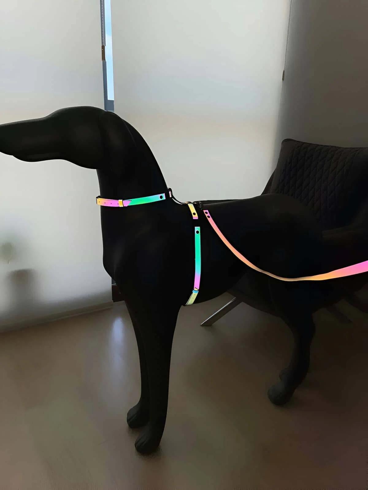 Stylish Colorful Glow in the Dark Dog Collar, Special Design Reflective Dog Collar - NPD002