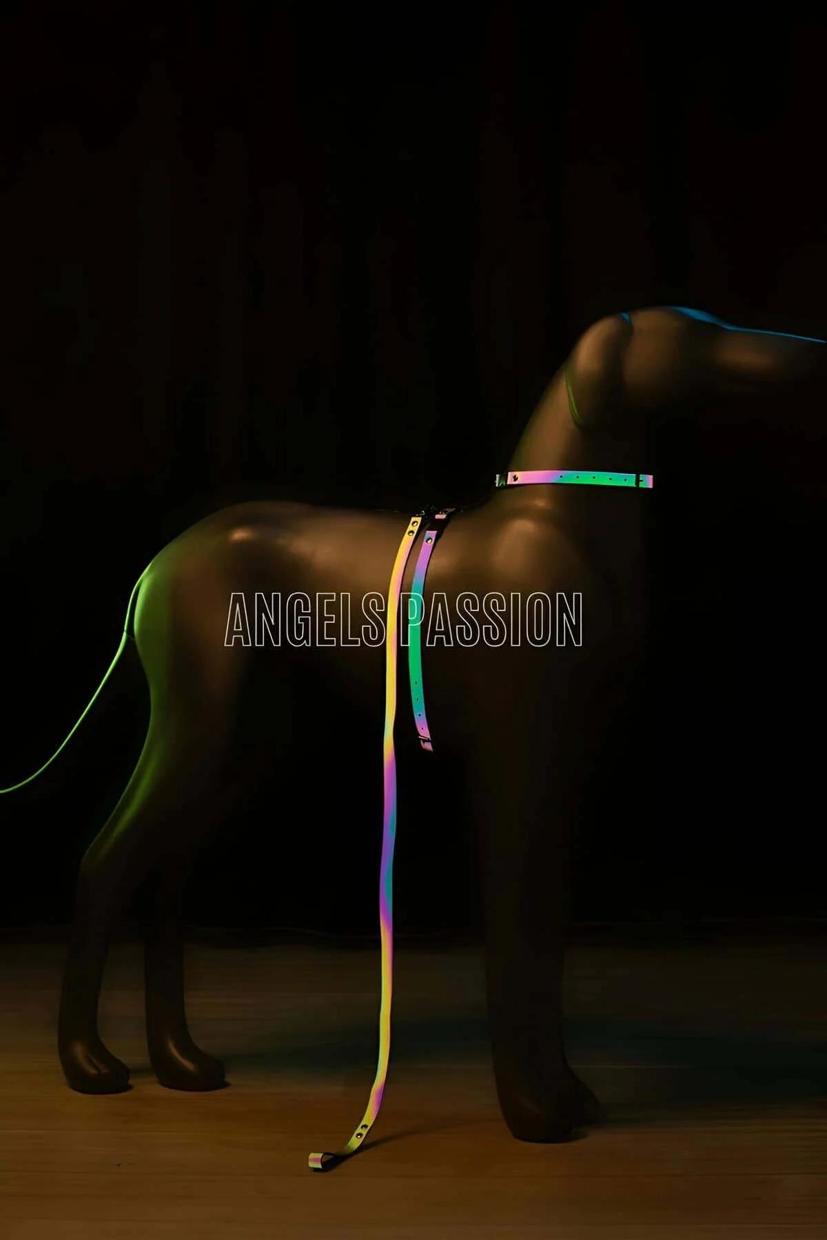 Stylish Colorful Glow in the Dark Dog Collar, Special Design Reflective Dog Collar - NPD002