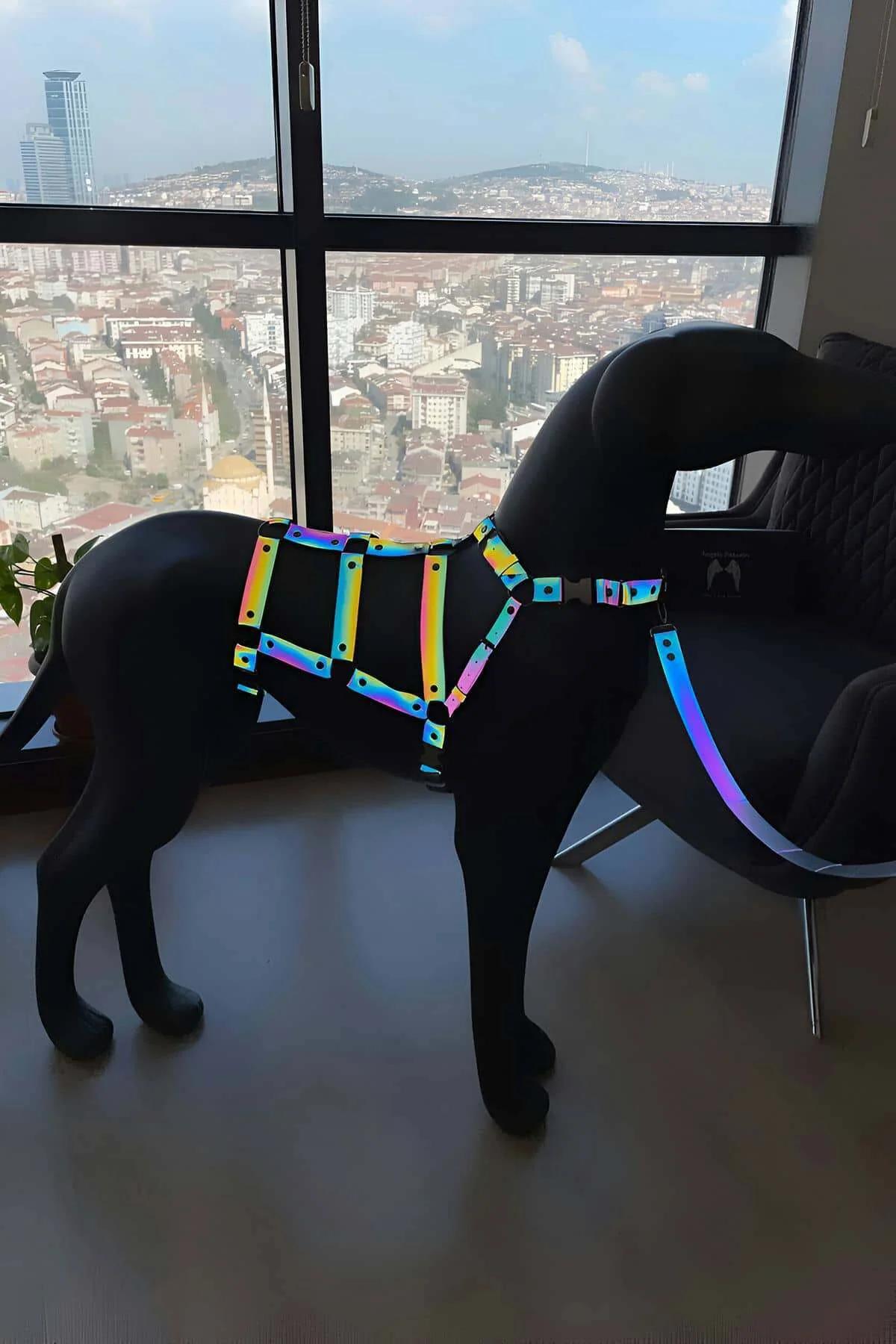 Adjustable, Body-hugging, Beautiful-Looking Specially Designed Reflective Dog Harness - NPD004