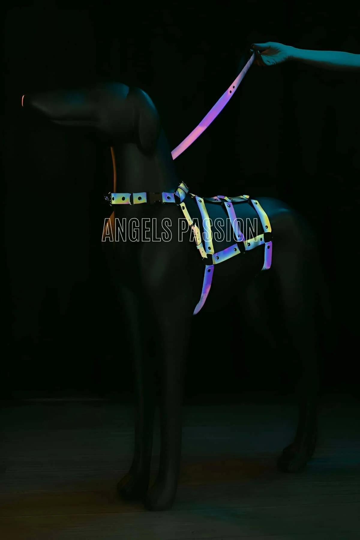 Adjustable, Body-hugging, Beautiful-Looking Specially Designed Reflective Dog Harness - NPD004
