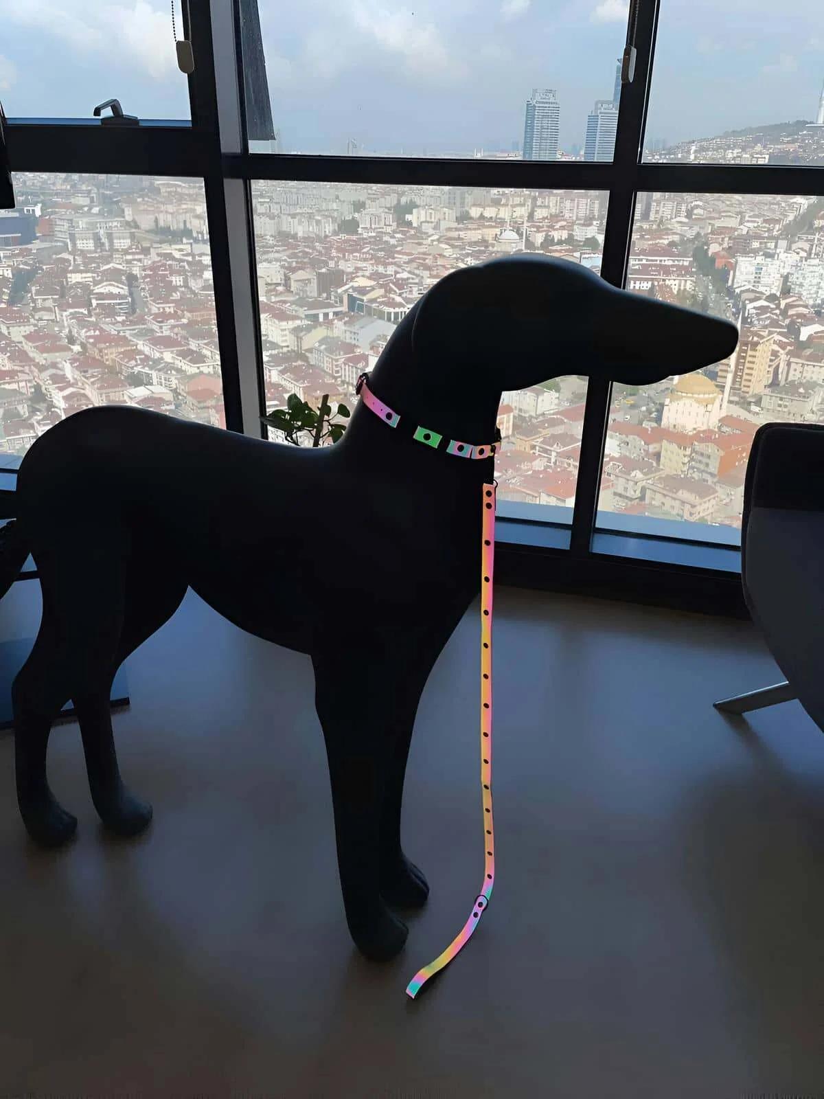 Reflective Dog Collar with Colorful Reflections in the Dark - NPD012