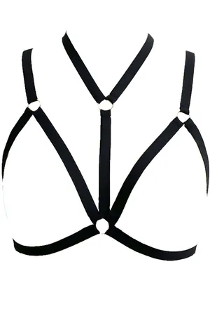 Special Design Harness - APFT93
