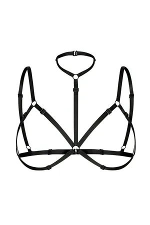 Sexy Harness Suitable for Daily Use - APFT42