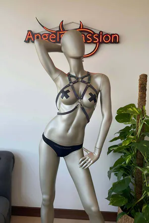 Special Products Reflective Beautiful Harness For Youtube Videos - APFT108