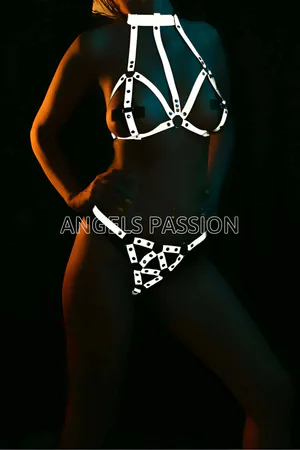 Reflective Bra Set Harness - APFT385