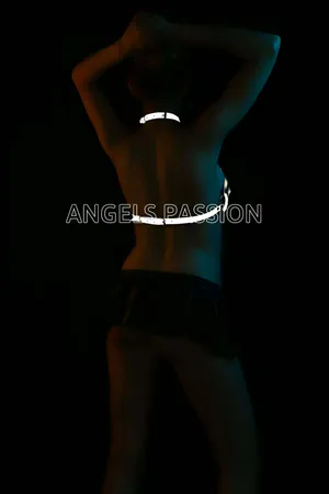Glow in the Dark Sexy Reflective Bra Harness - APFT224