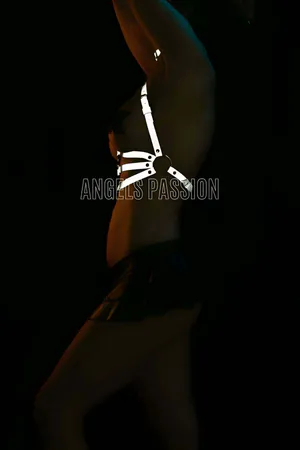 Stylish Reflective in the Dark Chest Harness with Collar Detail - APFT27