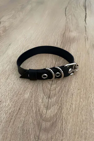 Cat Leather Harness, Cat Collar - NPC001