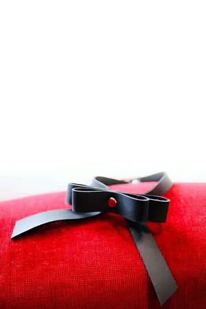 Stylish Leather Choker Neck Accessory with Bow Tie Back - APFT667