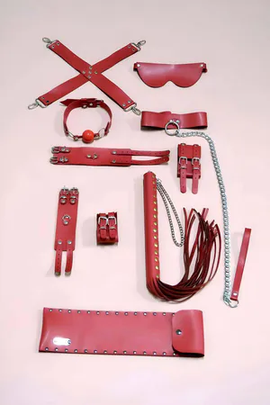 Whip Handcuff Set, Set of 7, Foot - Hand Clamps, Mask, Mouth Ball - APFT1311